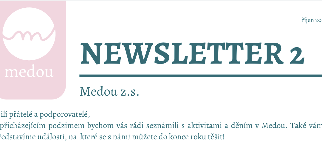 Newsletter Medou 2