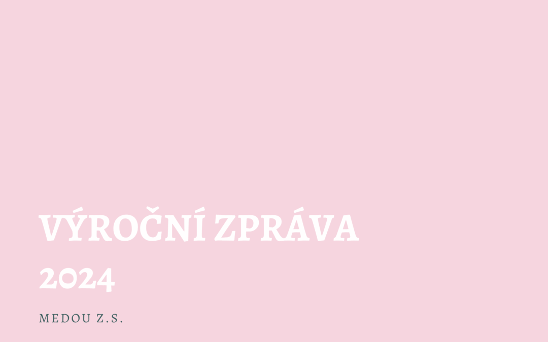 Výroční zpráva 2024