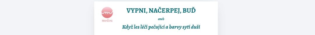 Lesní terapie: Dáváte péči druhým? Dovolte si ji dát i&nbsp;sobě