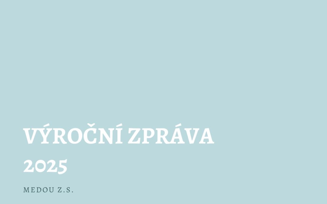 Výroční zpráva 2025
